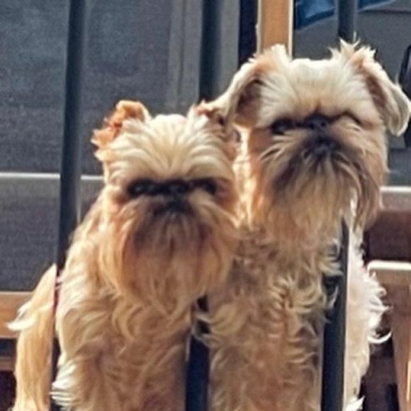 Meet your Posher, Daidra - Picture 2 of 2